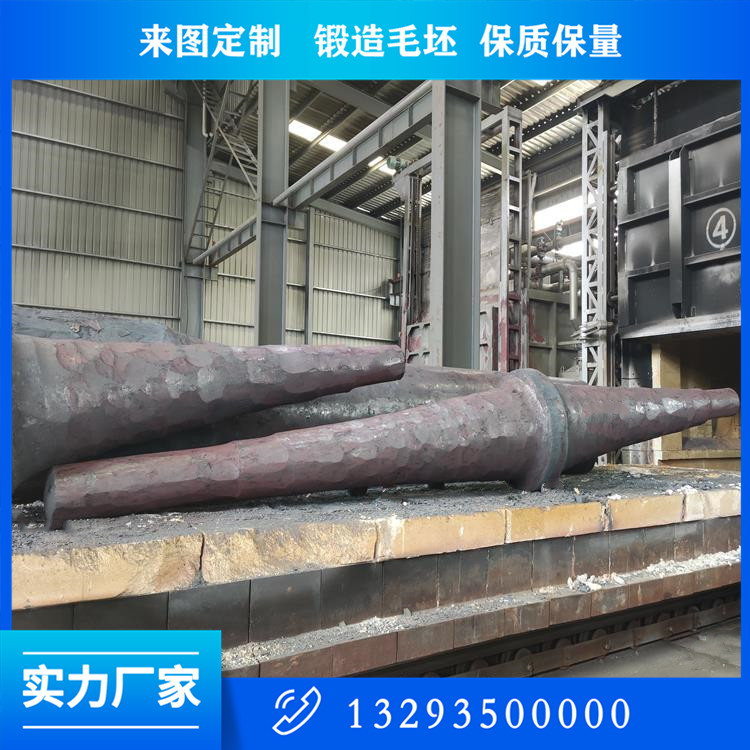 大型從動(dòng)鍛件
