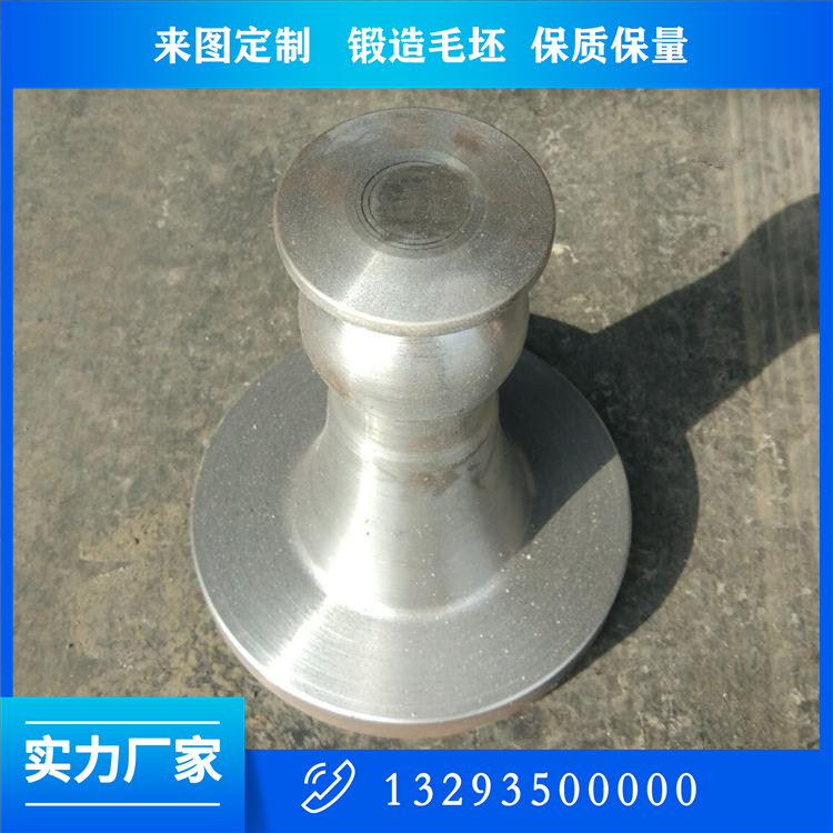 轉(zhuǎn)子軸鍛件